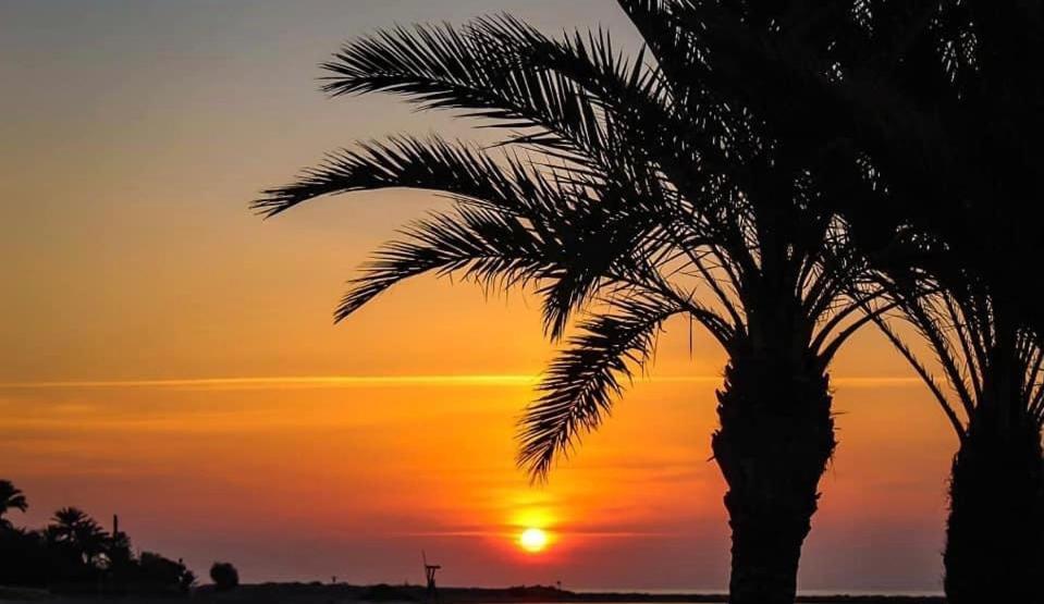 Casa Del Mar Apartment Santa Pola Ngoại thất bức ảnh