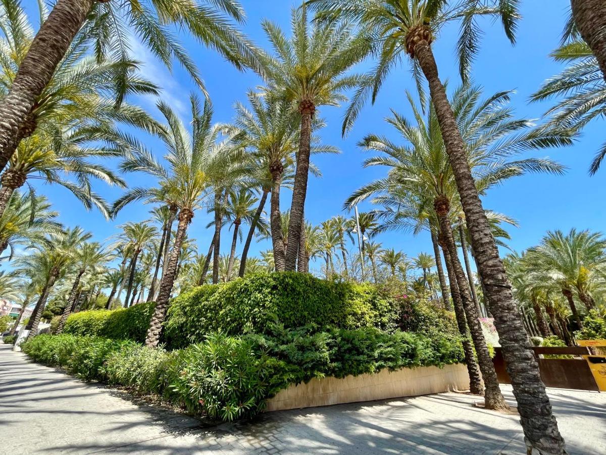 Casa Del Mar Apartment Santa Pola Ngoại thất bức ảnh